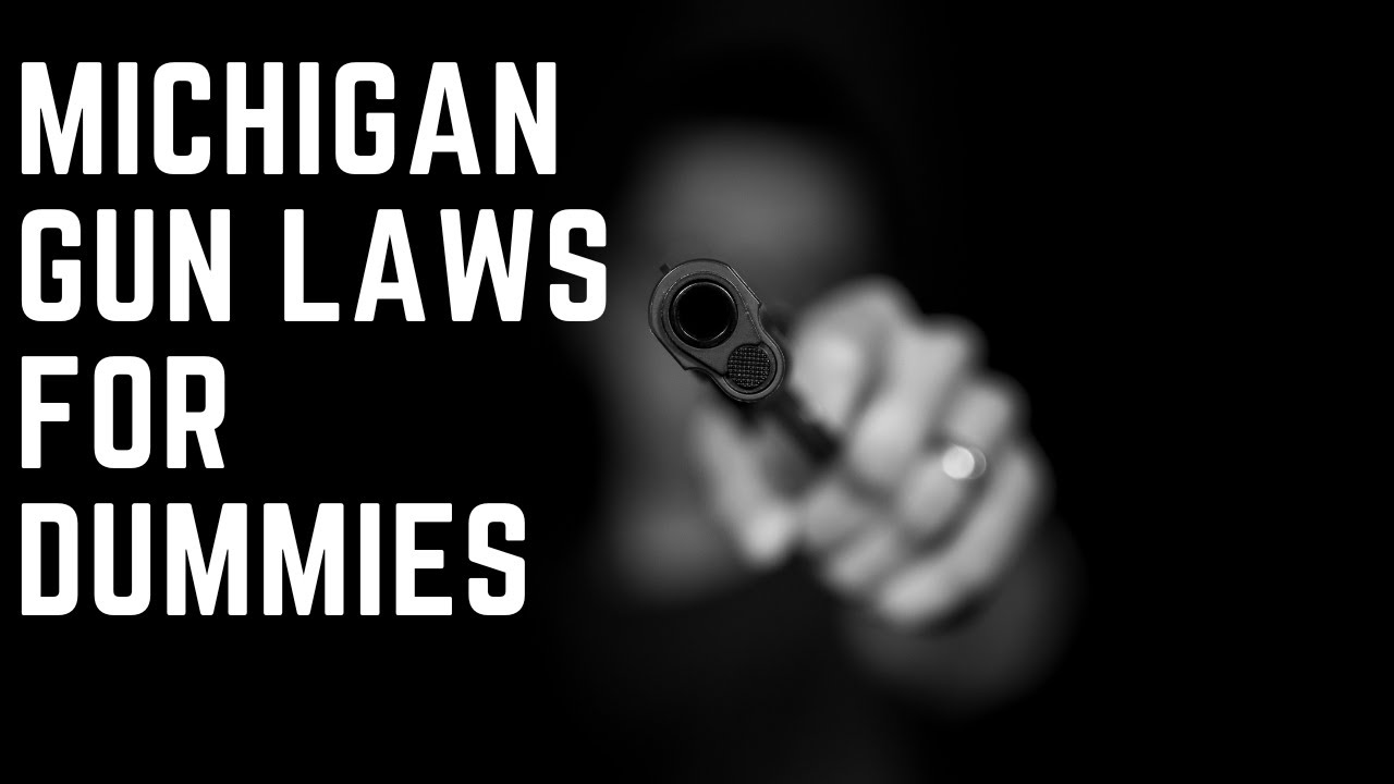Michigan Gun Laws For Dummies