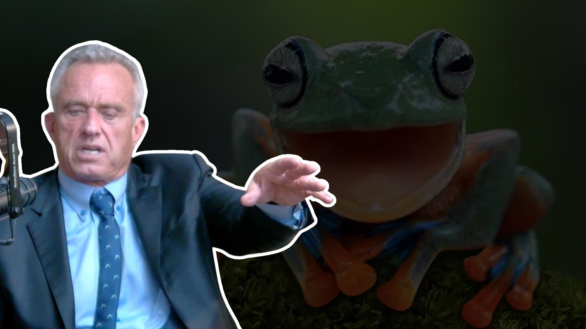 Your Tap Water is Creating Transgender Frogs